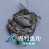 鱼粉 饲料用优质蒸制熟鳕鱼，红鱼鱼排