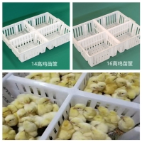 厂家直销鸡苗运输筐 养鸡场专用鸡苗筐 鸡苗塑料筐厂家 耐压耐磨寿命长鸡苗运输筐